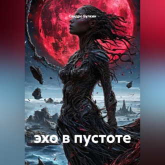 Обложка книги «эхо в пустоте»