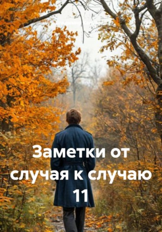 Обложка книги «Заметки от случая к случаю 11»