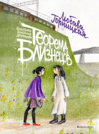 Обложка книги «Теорема близнецов»
