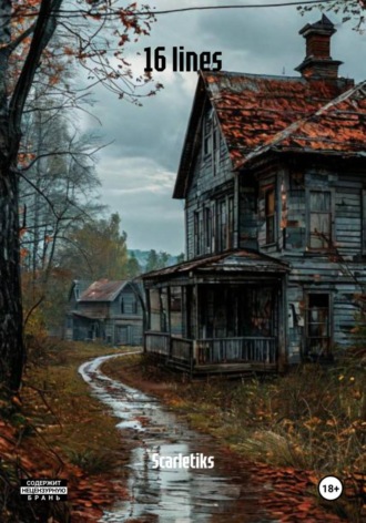 Обложка книги «16 lines»