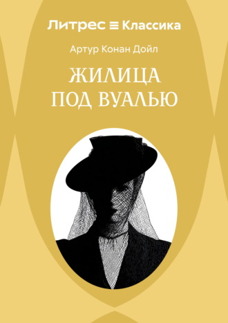 Обложка книги «Жилица под вуалью»
