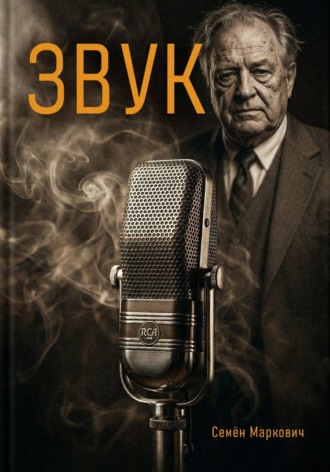 Обложка книги «Звук»
