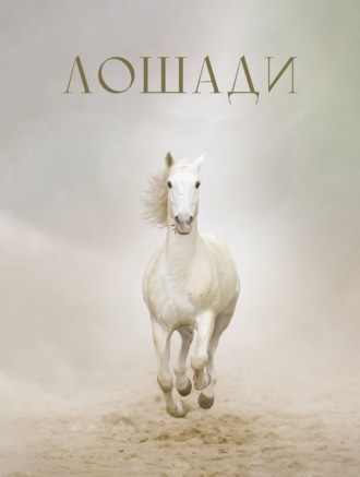 Обложка книги «Лошади»
