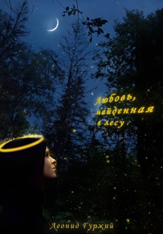 Обложка книги «Любовь, найденная в лесу»