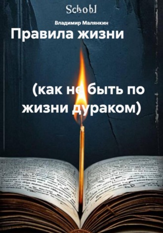 Обложка книги «Правила жизни (как не быть по жизни дураком)»