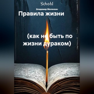 Обложка книги «Правила жизни (как не быть по жизни дураком)»