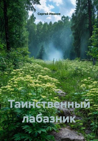 Обложка книги «Таинственный лабазник»