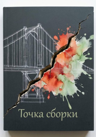 Обложка книги «Точка сборки»