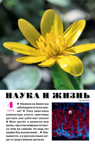 Обложка книги «Наука и жизнь №04/2026»