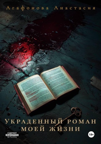Обложка книги «Украденный роман моей жизни»