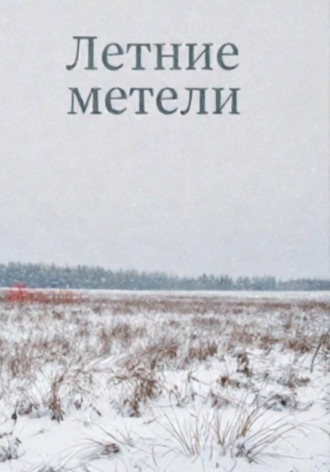 Обложка книги «Летние метели»