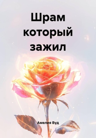 Обложка книги «Шрам который зажил»