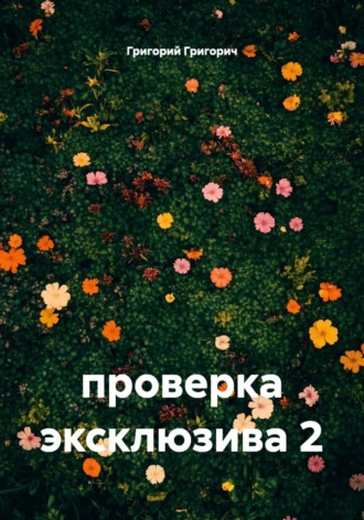Обложка книги «проверка эксклюзива 2»