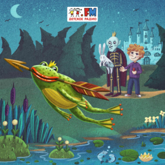Обложка книги «Лягушка-путешественница»