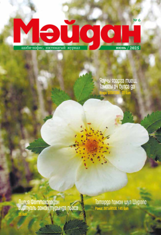 Обложка книги «Мәйдан №06/2025»