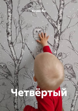 Обложка книги «Четвёртый»