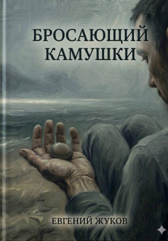 Обложка книги «Бросающий камушки»