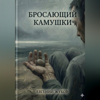 Обложка книги «Бросающий камушки»