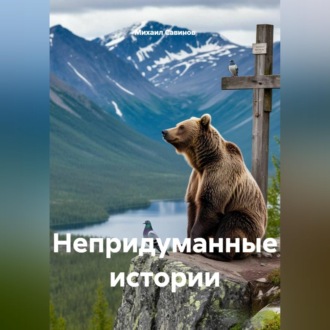 Обложка книги «Непридуманные истории»
