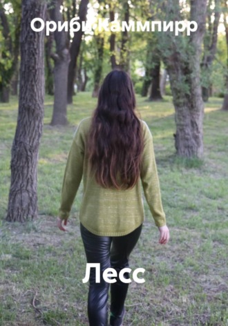 Обложка книги «Лесс»