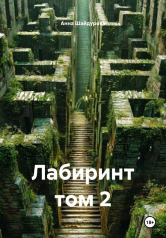 Обложка книги «Лабиринт том 2»