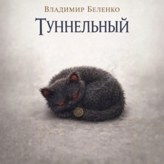 Обложка книги «Туннельный»