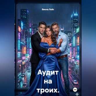 Обложка книги «Аудит на троих. Игра без правил»