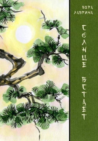Обложка книги «Солнце встаёт»