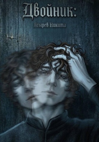 Обложка книги «Двойник»