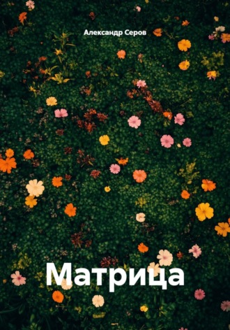 Обложка книги «Матрица»