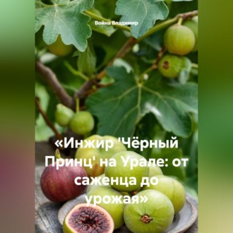 Обложка книги ««Инжир 'Чёрный Принц' на Урале: от саженца до урожая»»