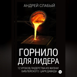 Обложка книги «Горнило для лидера. 12 уроков лидерства из жизни библейского царя Давида»