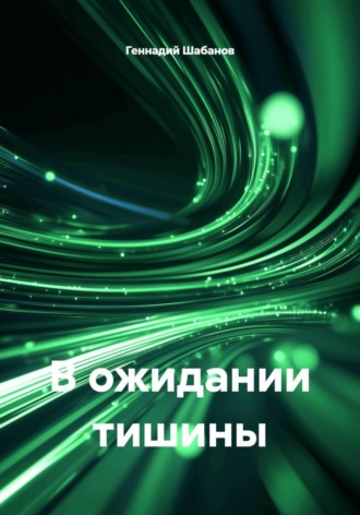 Обложка книги «В ожидании тишины»