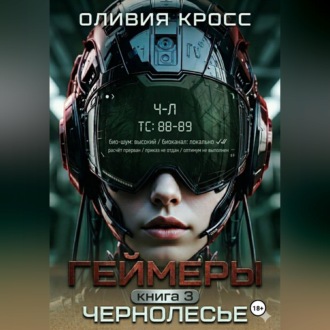 Обложка книги «Геймеры»