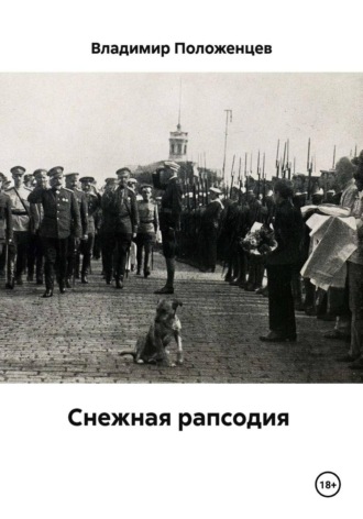 Обложка книги «Снежная рапсодия»