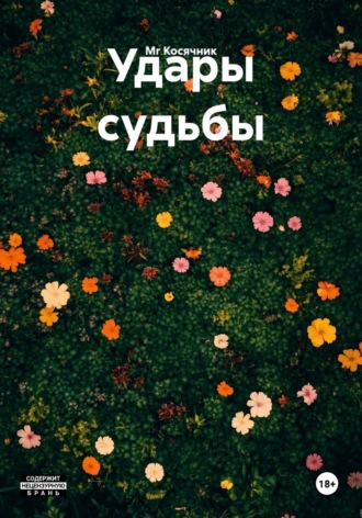 Обложка книги «Удары судьбы»