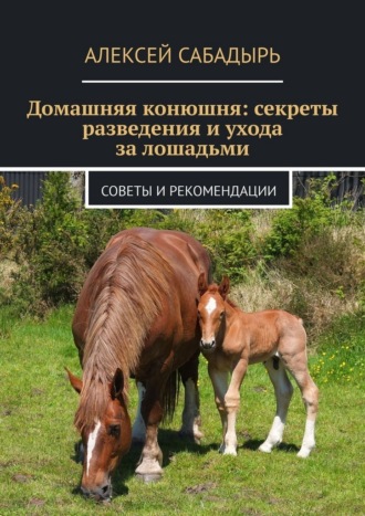 Обложка книги «Домашняя конюшня: секреты разведения и ухода за лошадьми. Советы и рекомендации»
