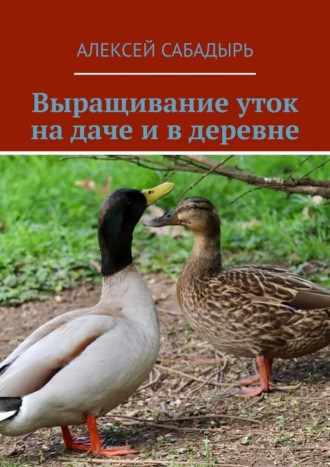 Обложка книги «Выращивание уток на даче и в деревне»
