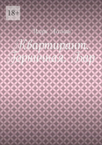 Обложка книги «Квартирант. Горничная. Бар»