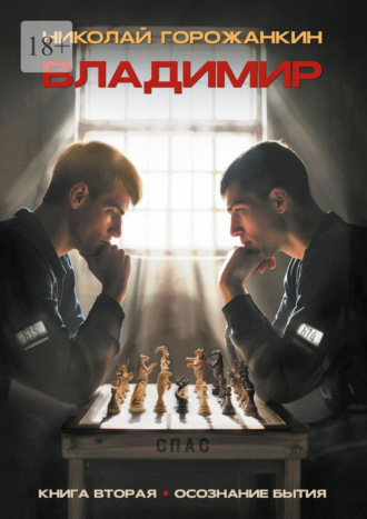 Обложка книги «Владимир. Книга вторая. Осознание бытия»