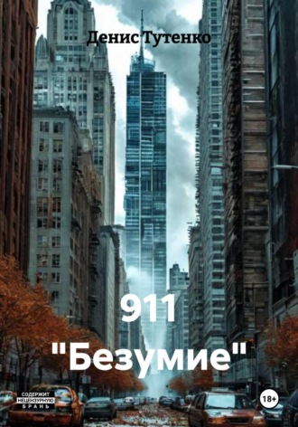 Обложка книги «911 "Безумие"»