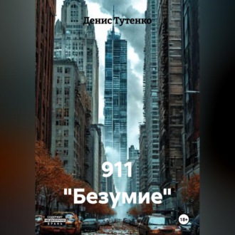 Обложка книги «911 "Безумие"»