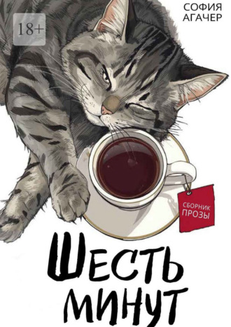 Обложка книги «Шесть минут. Сборник прозы»
