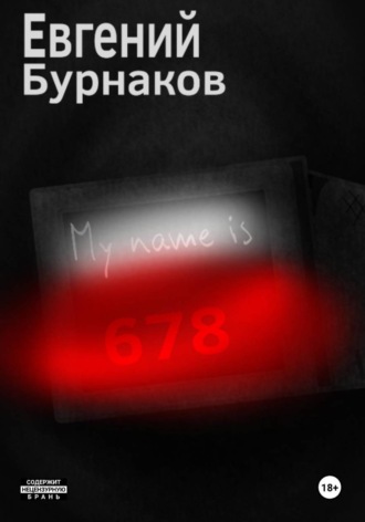 Обложка книги «My name is 678»