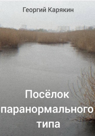 Обложка книги «Посёлок паранормального типа»