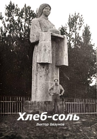 Обложка книги «Хлеб-соль»