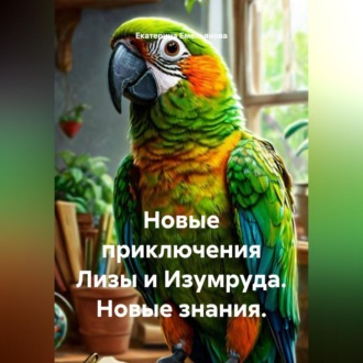 Обложка книги «Новые приключения Лизы и Изумруда. Новые знания.»