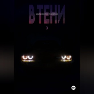 Обложка книги «В Тени.3»