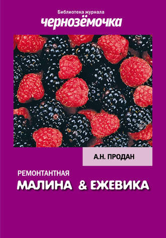 Обложка книги «Ремонтантная малина и ежевика»