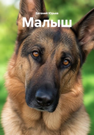 Обложка книги «Малыш»